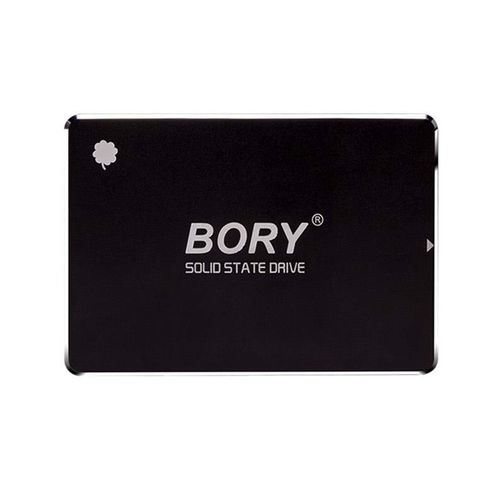 Bory 256GB SATA3 R500-C256G SSD Hard Disk 550/510 MBS (3 Yıl Garantili)