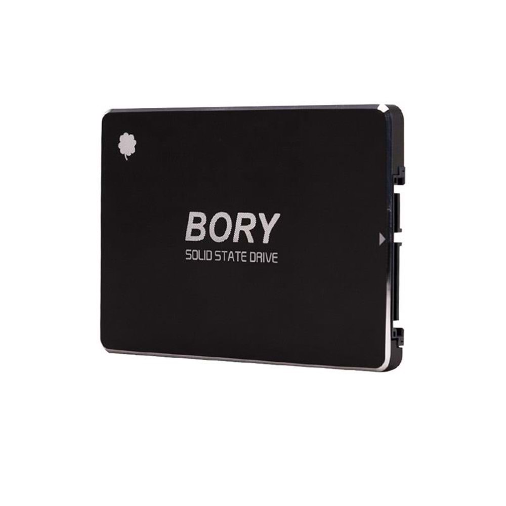 Bory 256GB SATA3 R500-C256G SSD Hard Disk 550/510 MBS (3 Yıl Garantili)