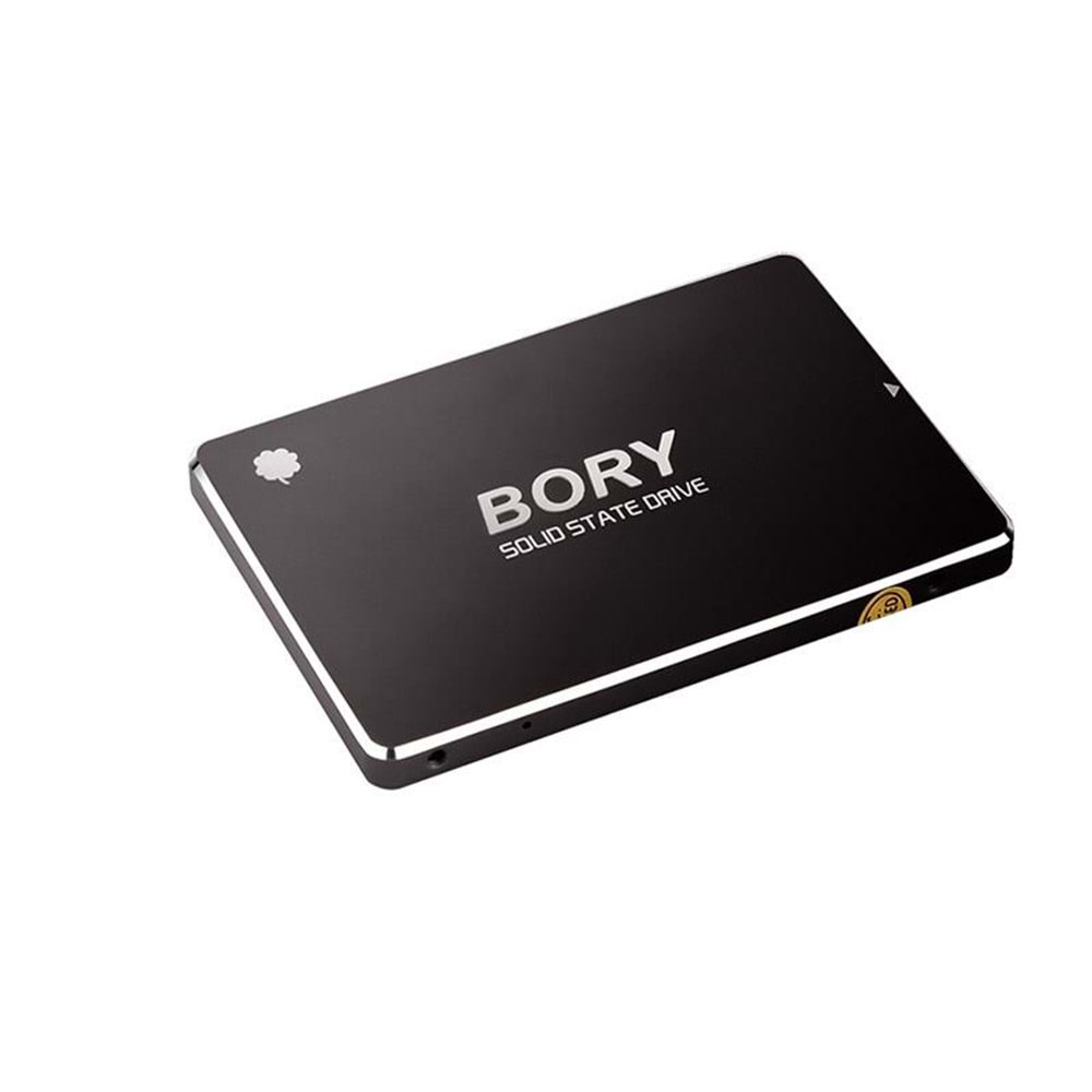 Bory 1TB SATA3 R500-C1T SSD Hard Disk 550/510 MBS (3 Yıl Garantili)