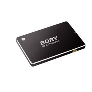 Bory 256GB SATA3 R500-C256G SSD Hard Disk 550/510 MBS (3 Yıl Garantili)